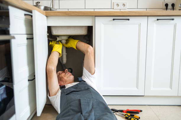 Best Water Softener Installation  in Reeds Spring, MO