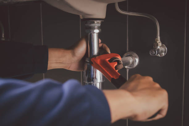 Best Commercial Plumbing Services  in Reeds Spring, MO